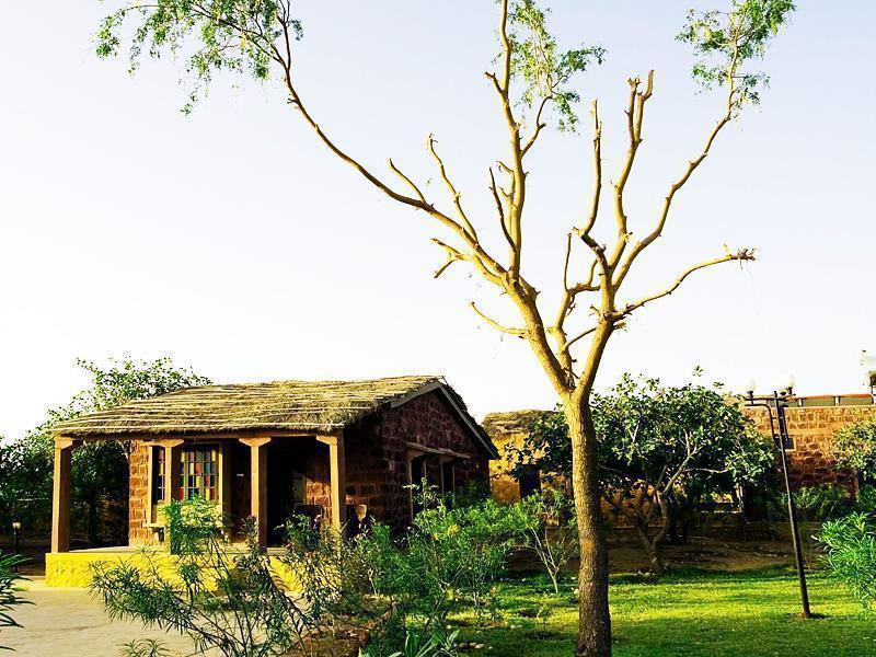 The Narayan Resort Farm Stay Pushkar Zewnętrze zdjęcie