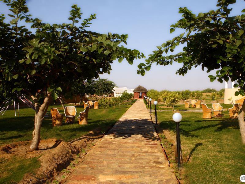 The Narayan Resort Farm Stay Pushkar Zewnętrze zdjęcie