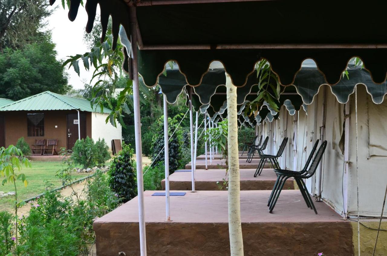 The Narayan Resort Farm Stay Pushkar Zewnętrze zdjęcie