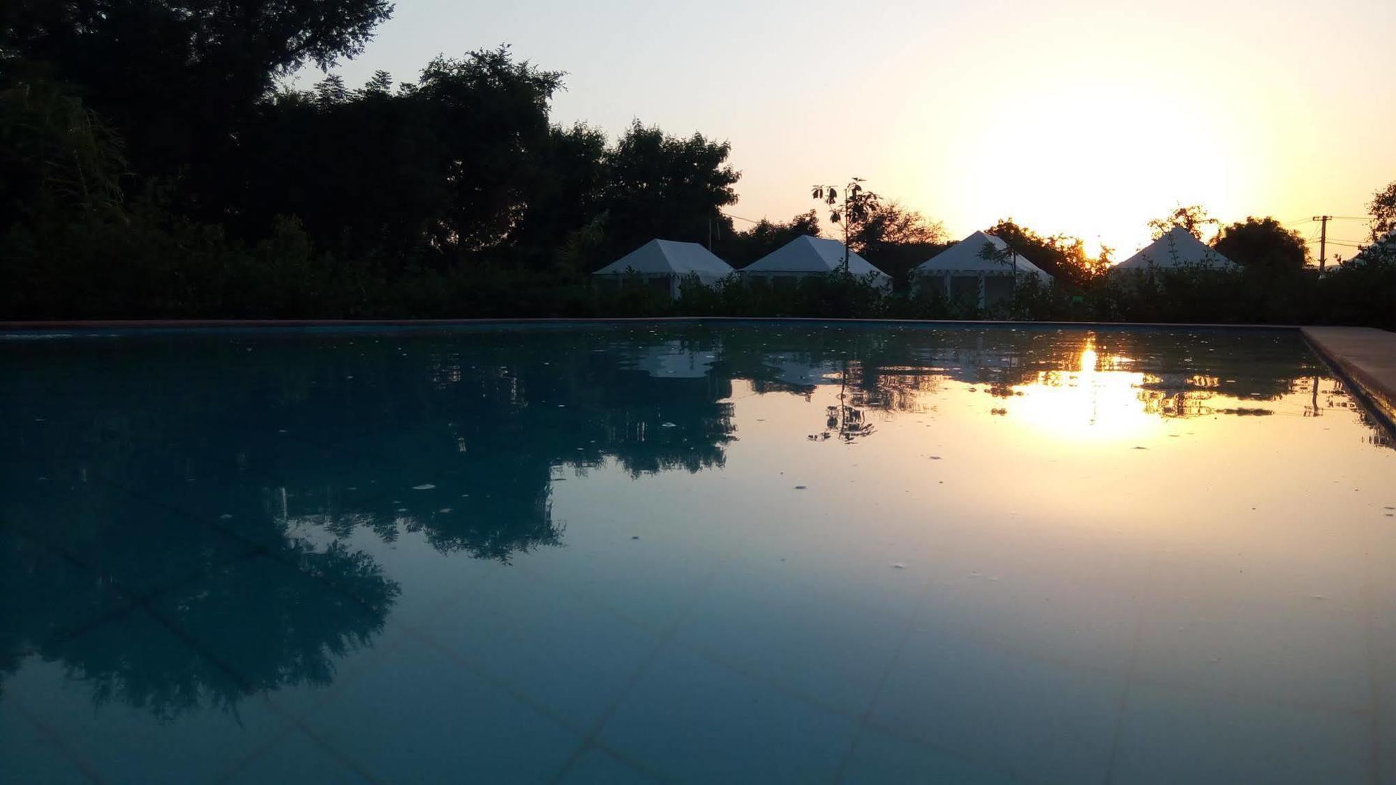 The Narayan Resort Farm Stay Pushkar Zewnętrze zdjęcie
